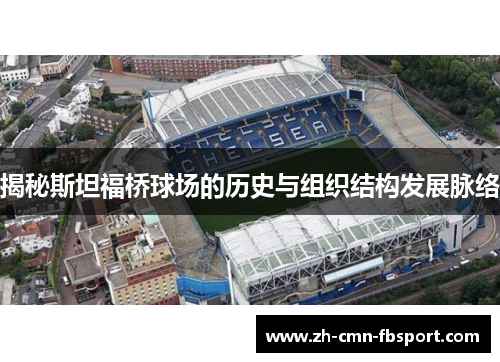 揭秘斯坦福桥球场的历史与组织结构发展脉络