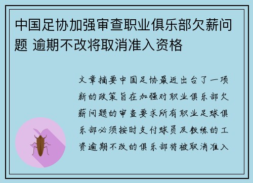 中国足协加强审查职业俱乐部欠薪问题 逾期不改将取消准入资格